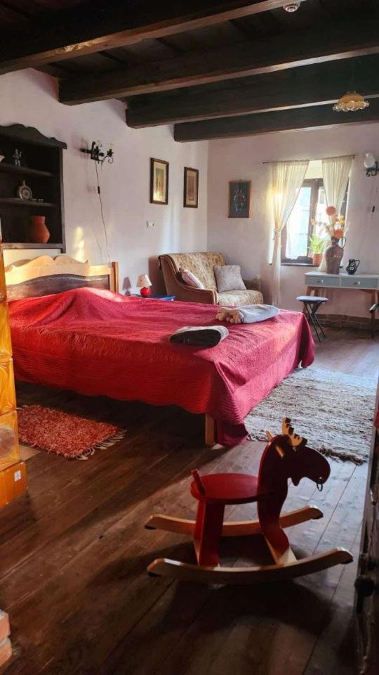 Apartament Main Road Seven Vendeghaz Fuzerradvany Zewnętrze zdjęcie
